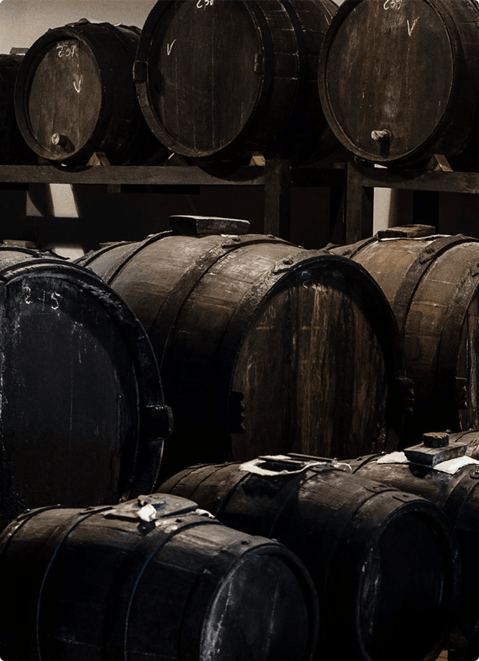 Barris de vinho